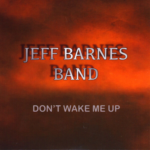 Cover art for Don't Wake Me Up